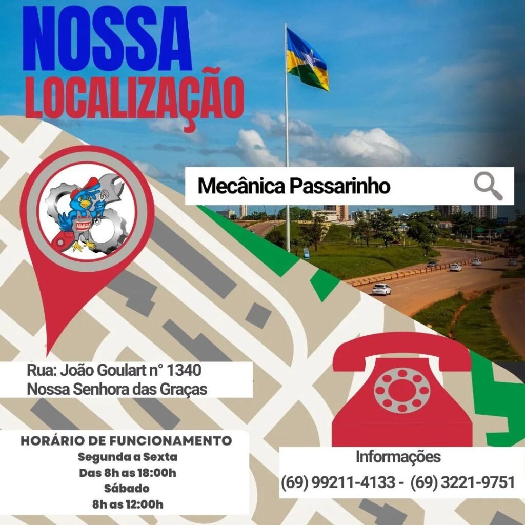 Mecânica Passarinho